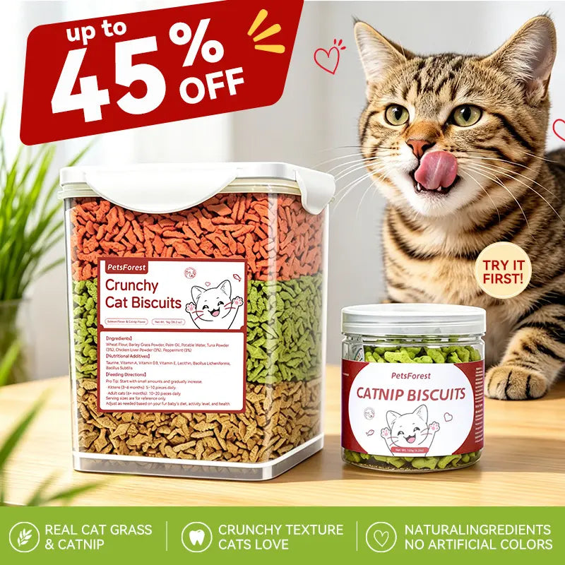 Petsforest Crunchy Cat Grass Cat Treats, 2.2Lb, Natural Ingredients with Peppermint, Vitamin D3, Palm Oil & Lecithin, Gentle Daily Hairball Care, Dental Chewing Support, Training Biscuits
