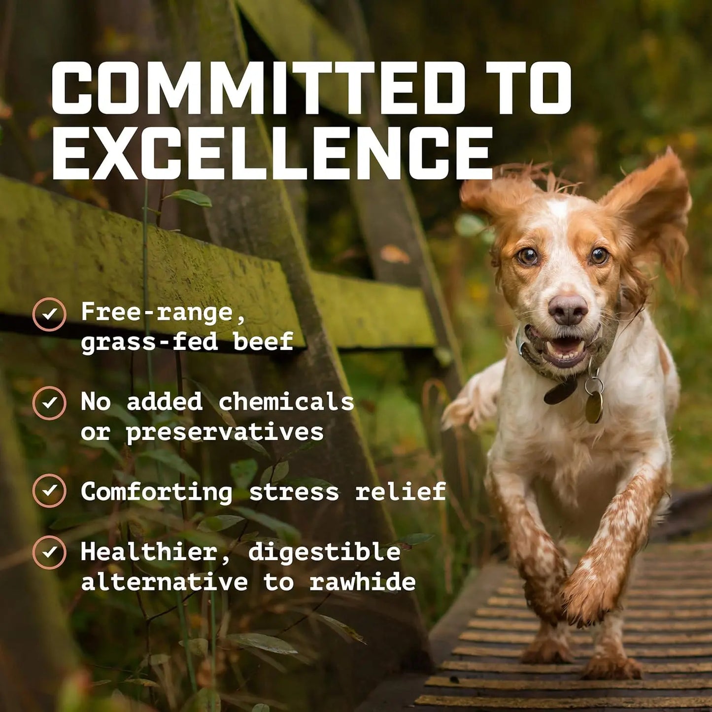 <GOLDEN TICKET!> 12” Peanut Butter Collagen Cheek Rolls (3 Pack) 100% Natural and Extra-Thick - Single-Ingredient - Long-Lasting for Big Dogs and Aggressive Chewers