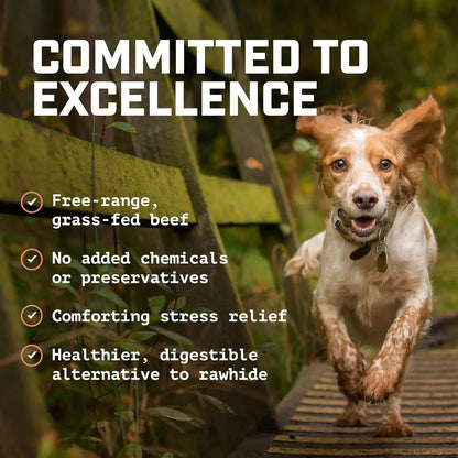 <GOLDEN TICKET!> 12” Peanut Butter Collagen Cheek Rolls (3 Pack) 100% Natural and Extra-Thick - Single-Ingredient - Long-Lasting for Big Dogs and Aggressive Chewers